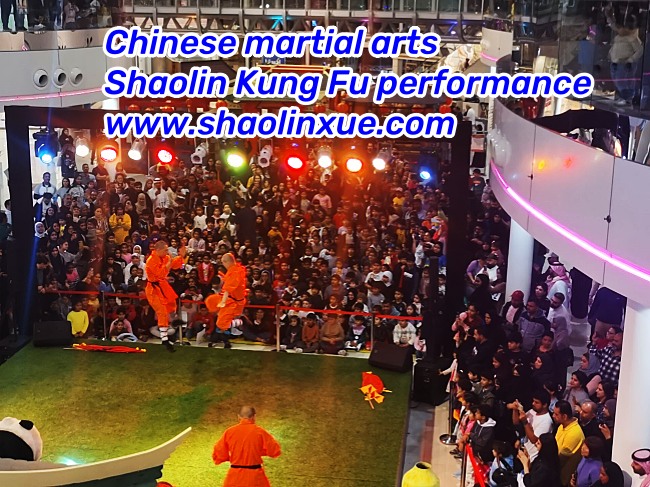Chinese Shaolin Kung fu Performance